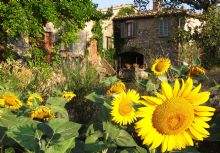 Foto 1 di Bed and Breakfast - Casal Lorgnano